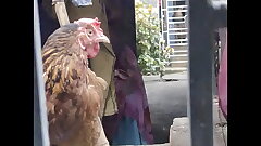 old Sex videos
